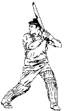 cricket